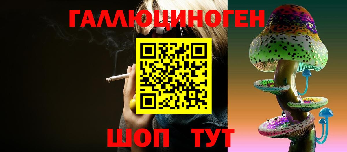 Галлюциногенные грибы Psilocybe  Вход с VPN  Дзержинский 